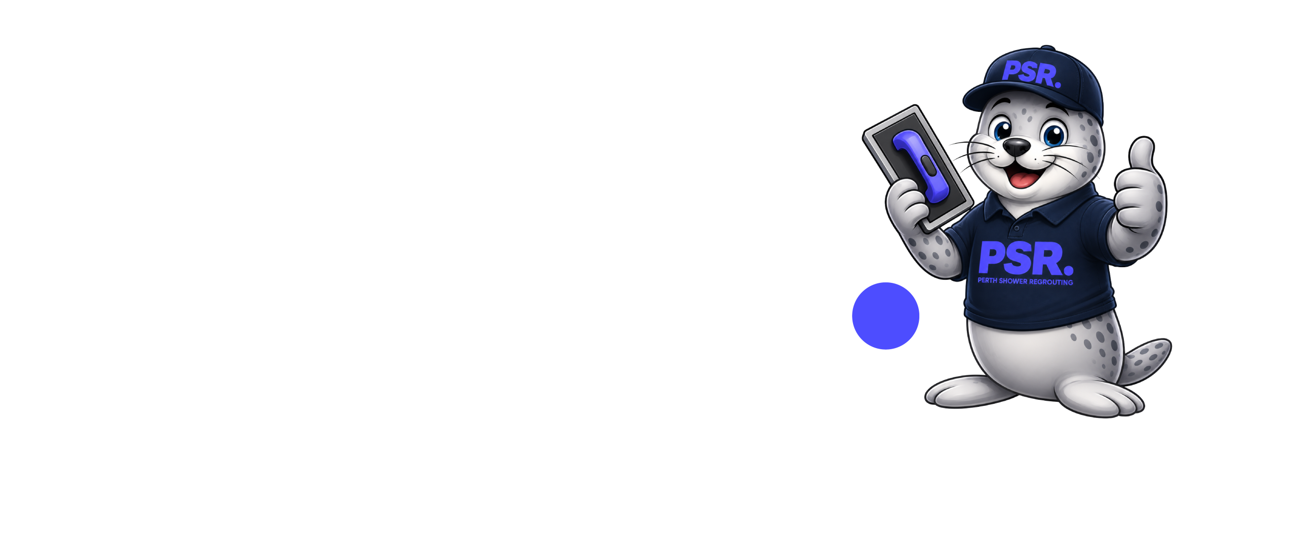 Perth Shower Regrouting Logo