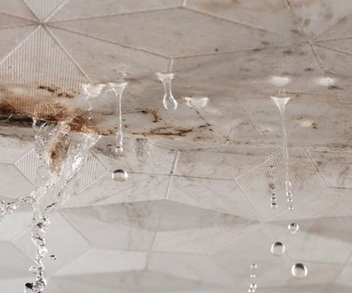 leaking shower tiles, Leaking Shower Repairs Perth, Local Leaking Shower Experts