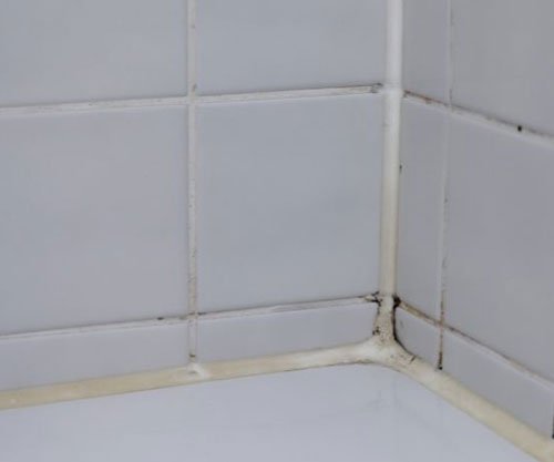 missing grout in my shower tiled area.