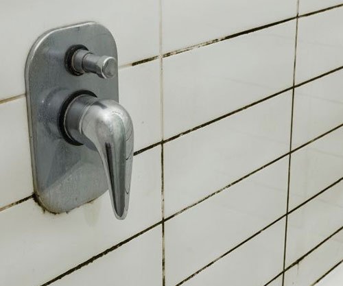 mould stains in grout, need replacing
