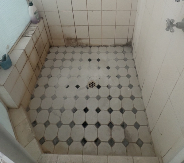 Shower Regrout Before