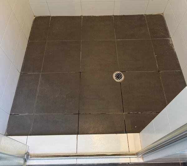 Regrout Shower Before