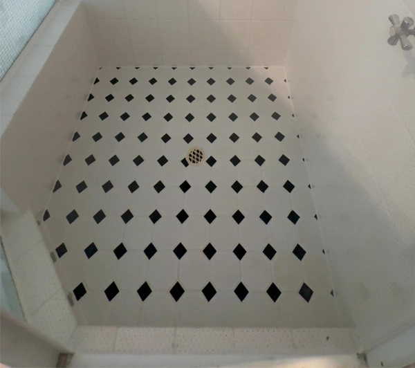 Shower Regrout After