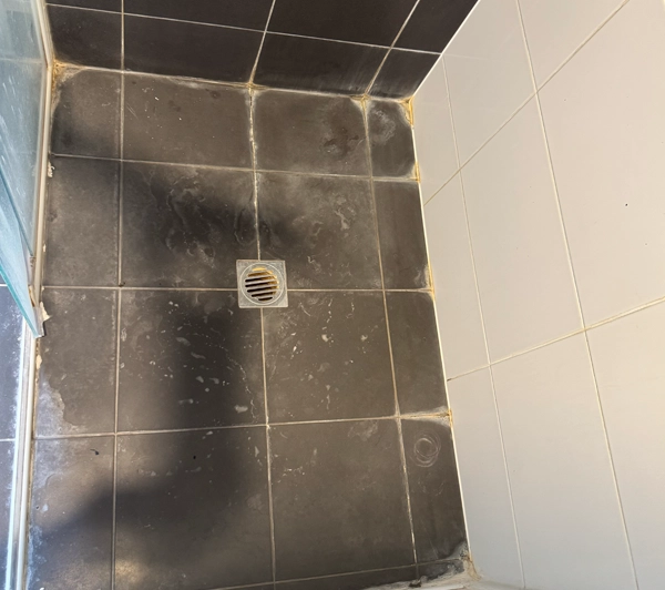 Old Mould Grout In Shower